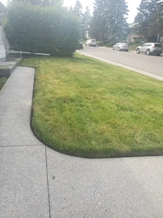 Be Green Lawncare photo 2