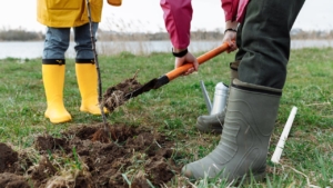 How to Choose the Perfect Native Shrubs, Plants, and Trees for Calgary