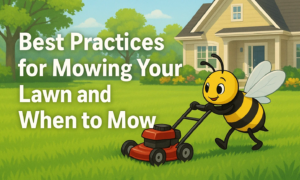 Best Practices for Mowing Your Lawn